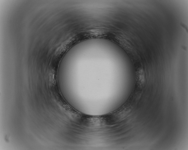 X0000103420615200809191639