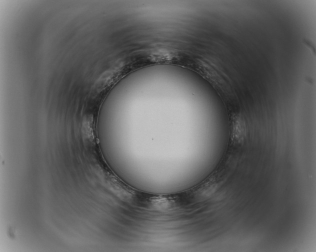 X0000103420616200809191639