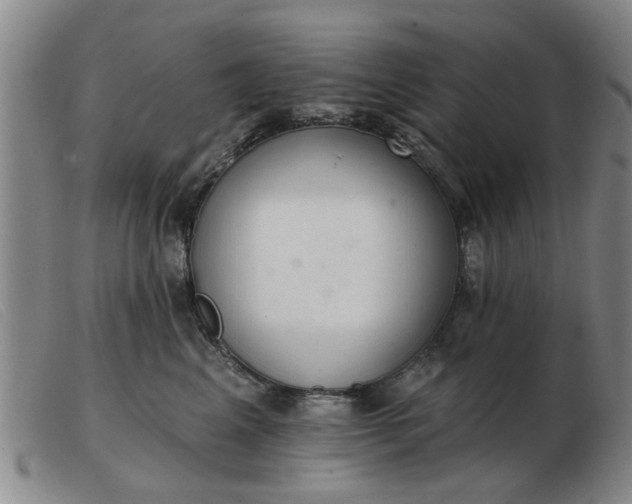 X0000103420617200809191639