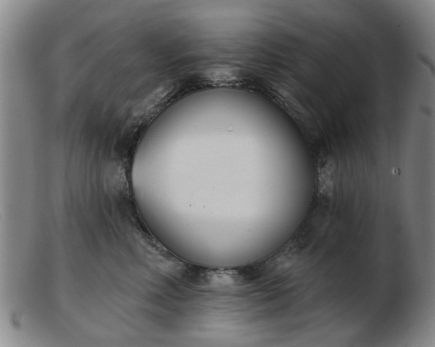 X0000103420618200809191639