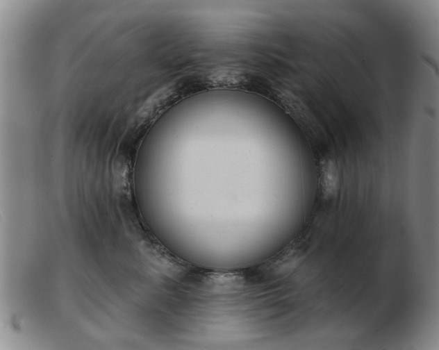 X0000103420619200809191639