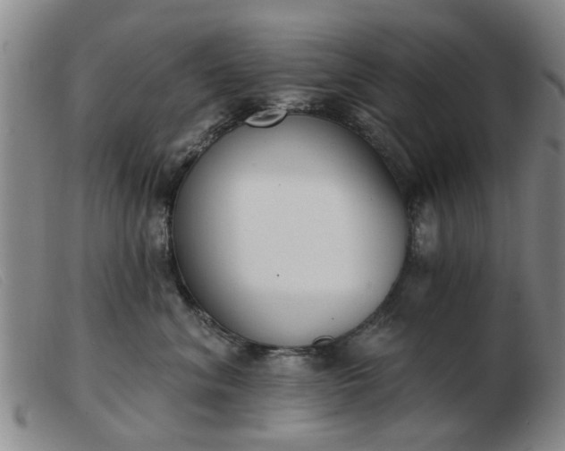 X0000103420620200809191639