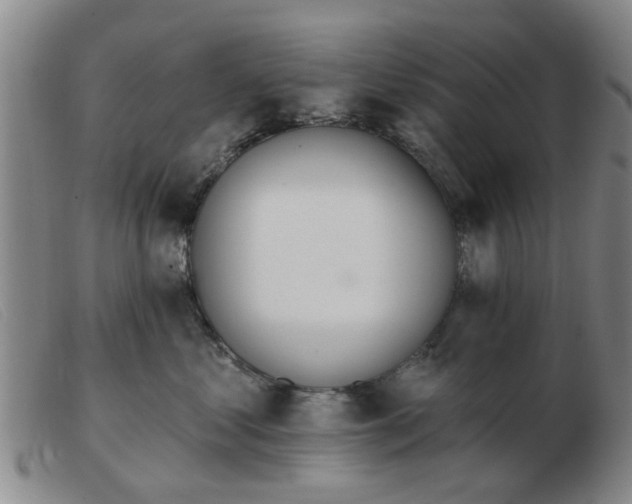 X0000103420621200809191639