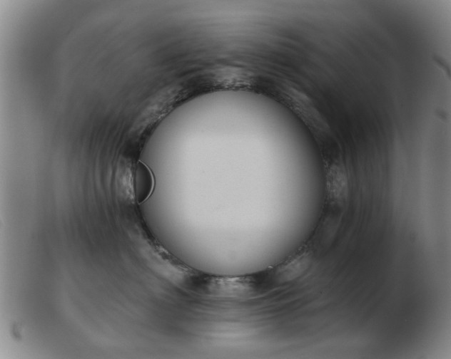 X0000103420622200809191639