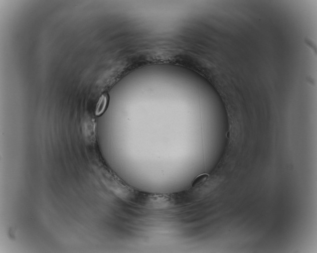 X0000103420624200809191639