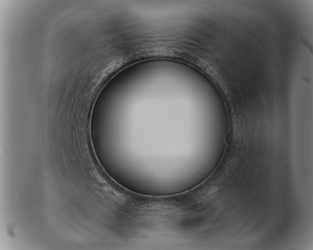 X0000103420625200809191638