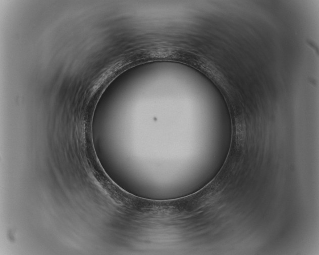 X0000103420626200809191638