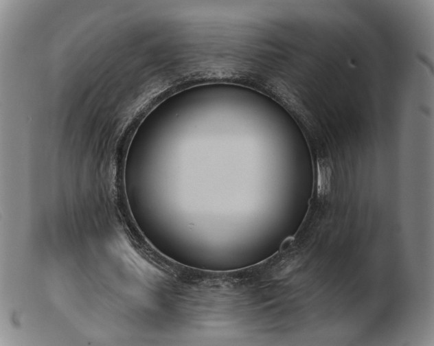 X0000103420627200809191638