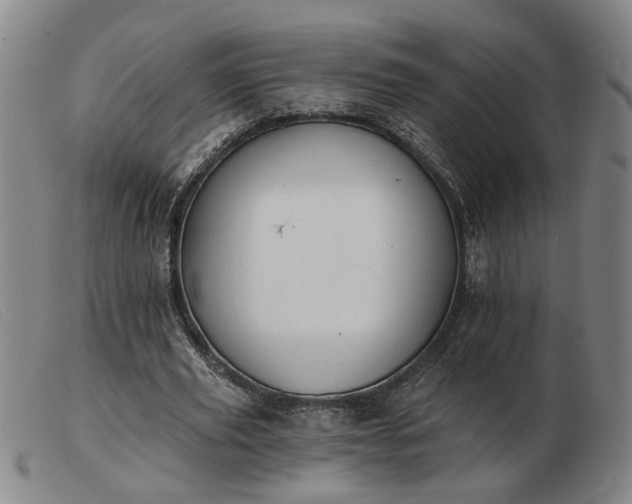 X0000103420629200809191638