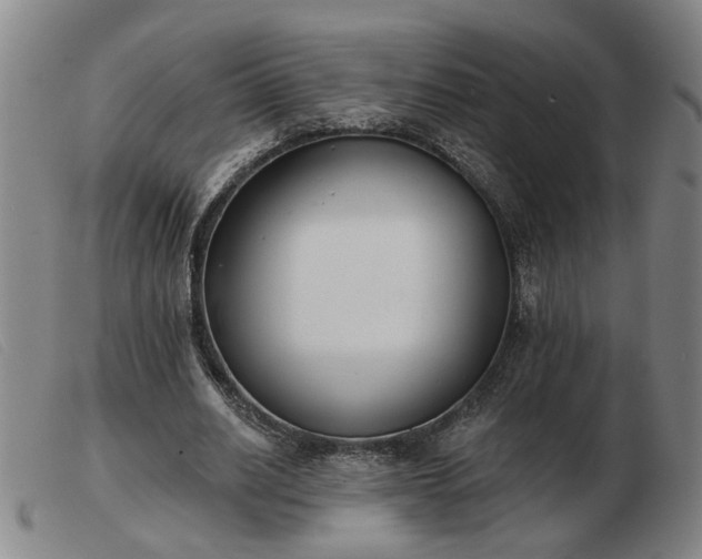 X0000103420630200809191638