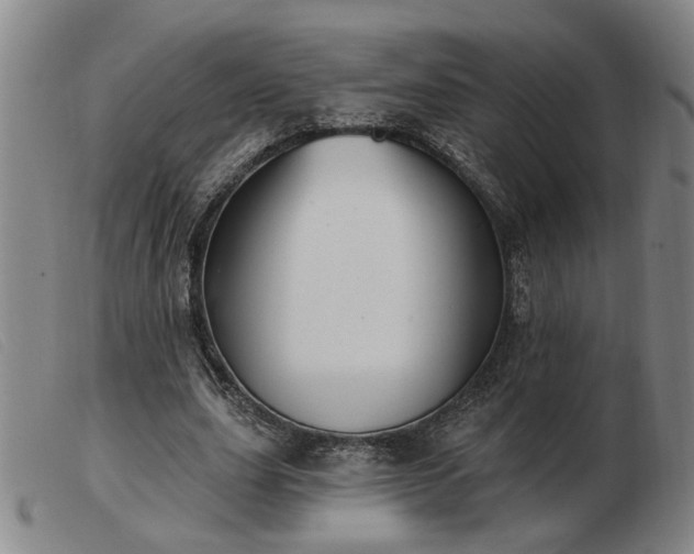 X0000103420631200809191638