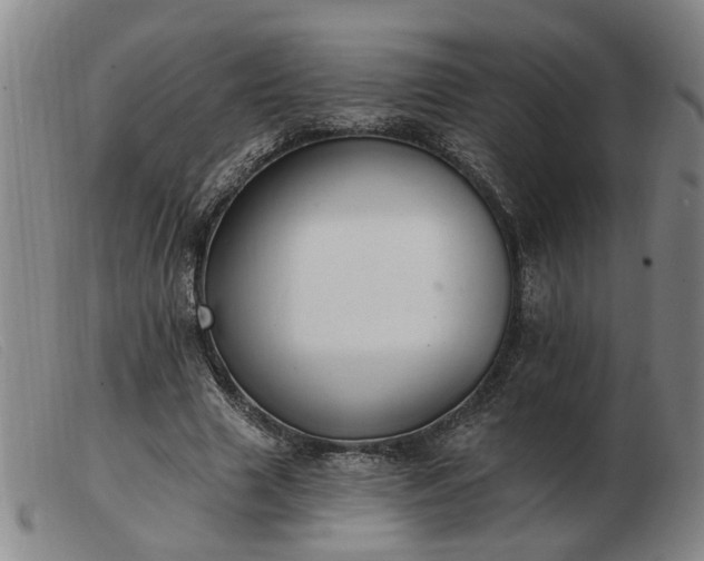 X0000103420633200809191638
