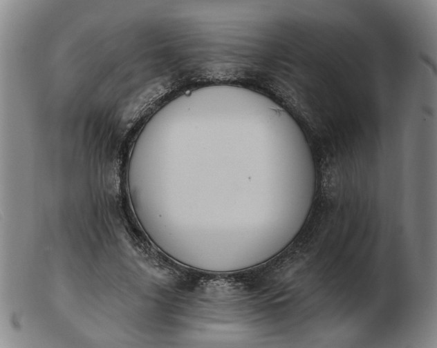 X0000103420635200809191638