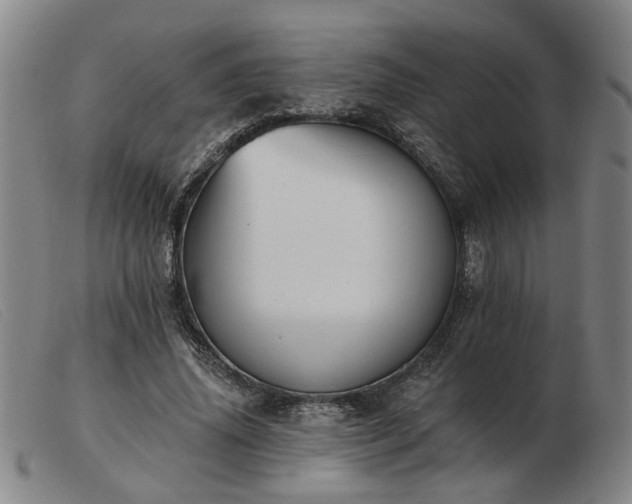 X0000103420636200809191638