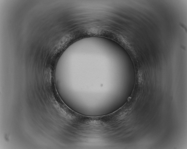 X0000103420637200809191638