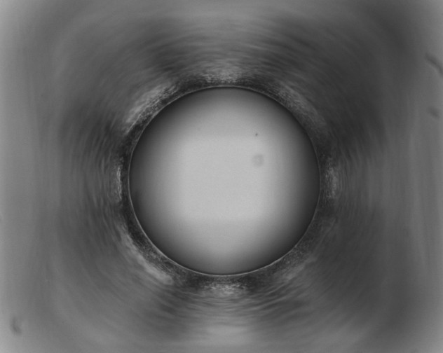 X0000103420638200809191638