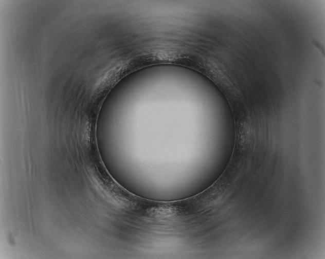 X0000103420639200809191638