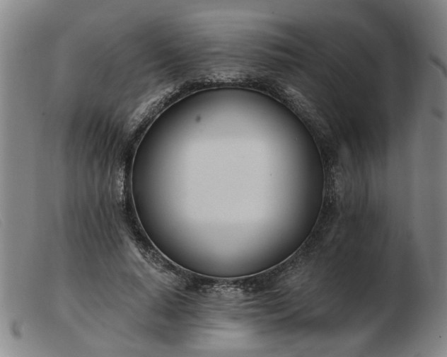 X0000103420640200809191638