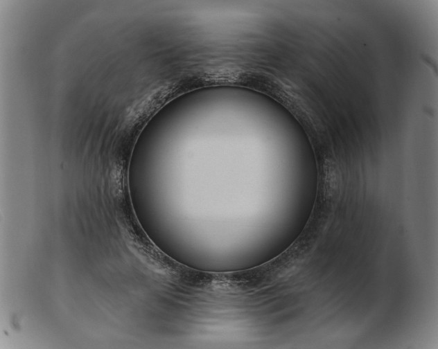 X0000103420641200809191638