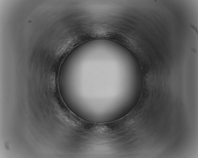 X0000103420642200809191638