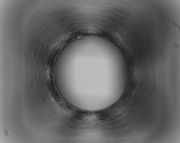 X0000103420643200809191639