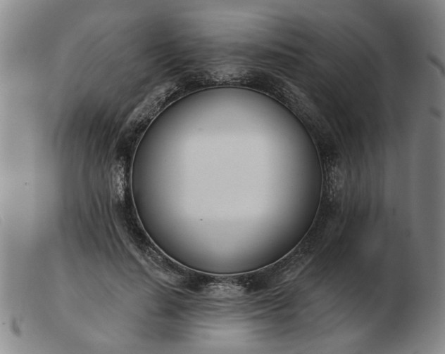 X0000103420644200809191639