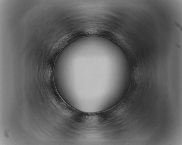 X0000103420645200809191639