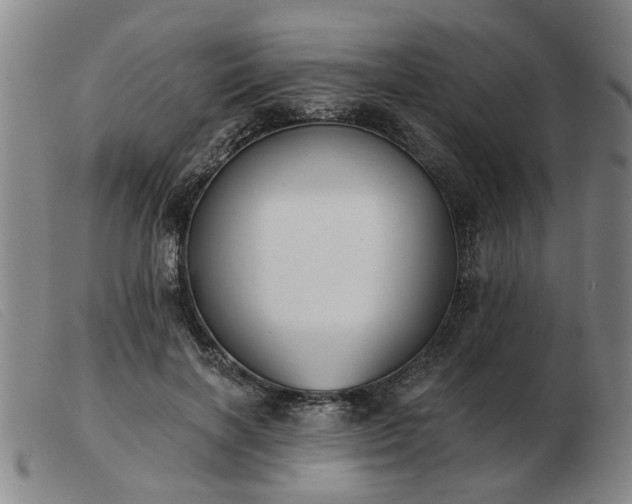 X0000103420646200809191639