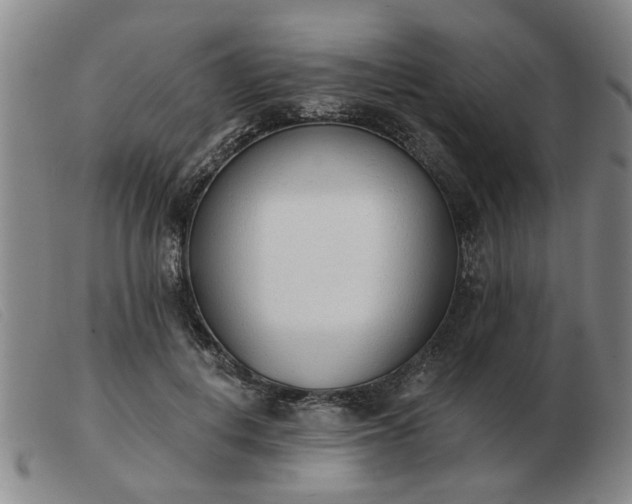 X0000103420648200809191639