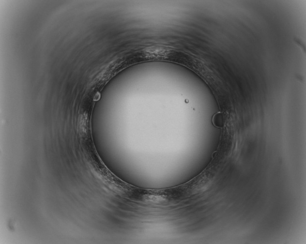 X0000103420649200809191639