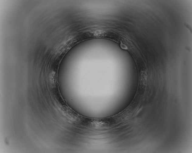 X0000103420650200809191639