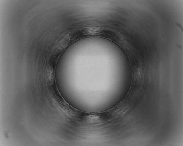X0000103420651200809191639
