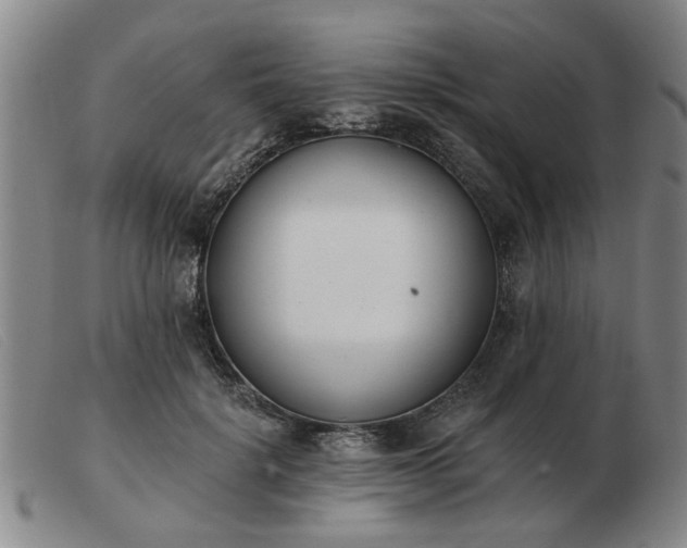 X0000103420652200809191639