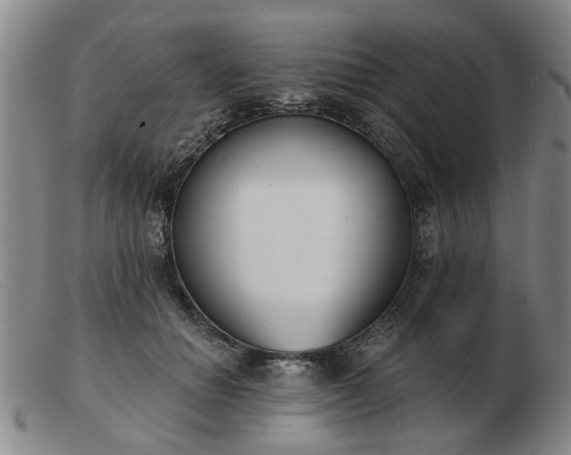 X0000103420654200809191639
