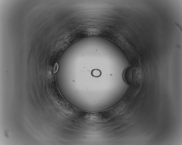 X0000103420655200809191639