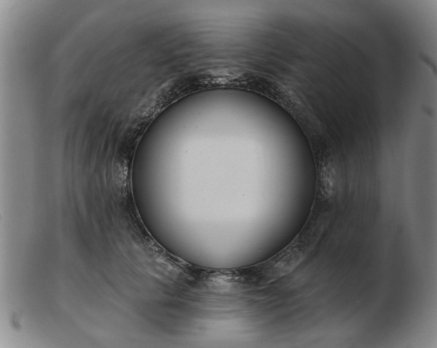 X0000103420657200809191639