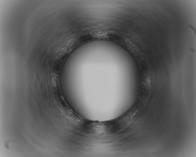 X0000103420658200809191639