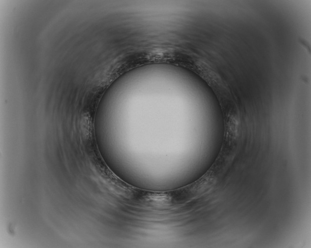 X0000103420659200809191639