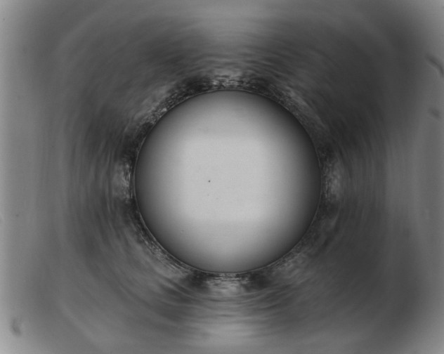 X0000103420661200809191639