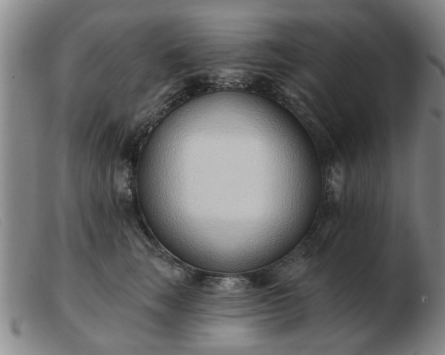 X0000103420663200809191639