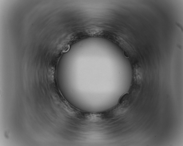 X0000103420664200809191639