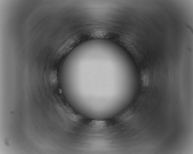 X0000103420665200809191639