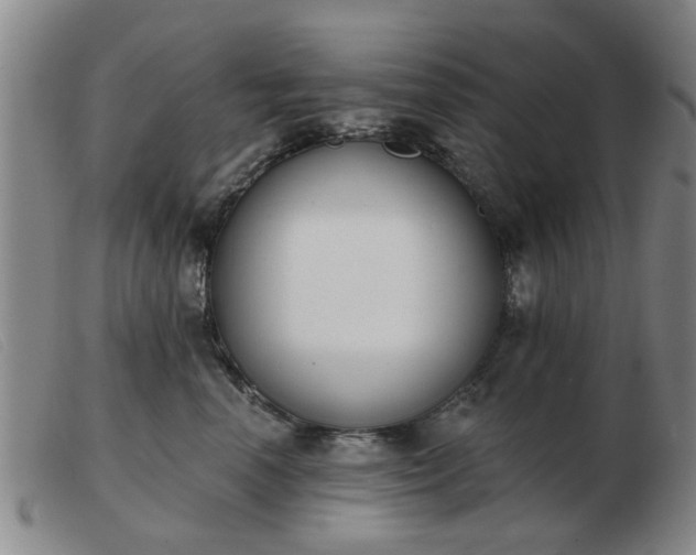 X0000103420666200809191639