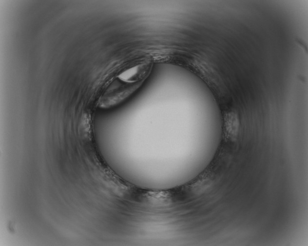 X0000103420667200809191639