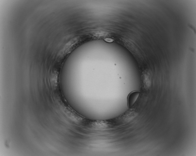 X0000103420668200809191639