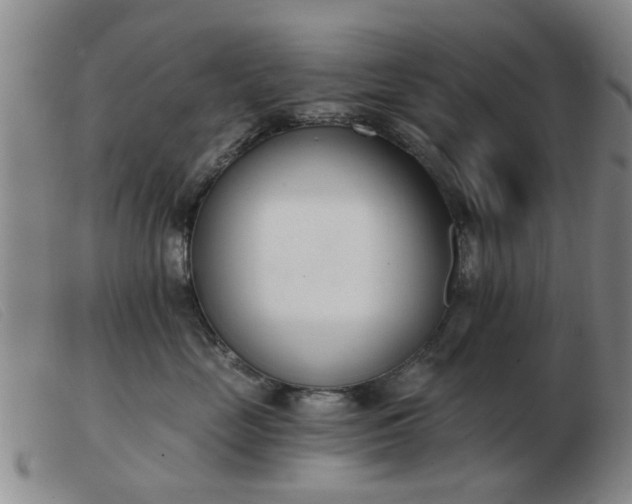 X0000103420669200809191639