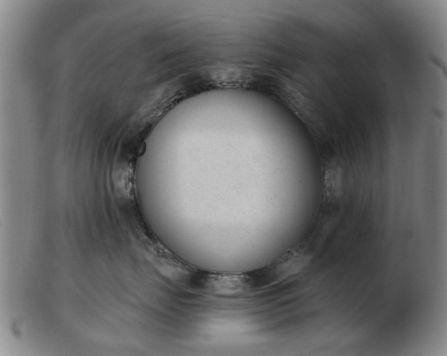 X0000103420671200809191639