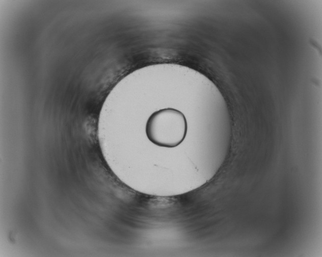 X0000103420672200809191639