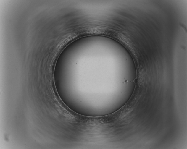 X0000103420673200809191638