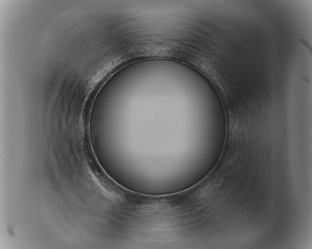 X0000103420674200809191638